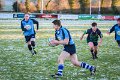 Monaghan Legends V Perennials (11)